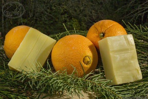 Citrus and Fir Needle Hempseed Oil Soap