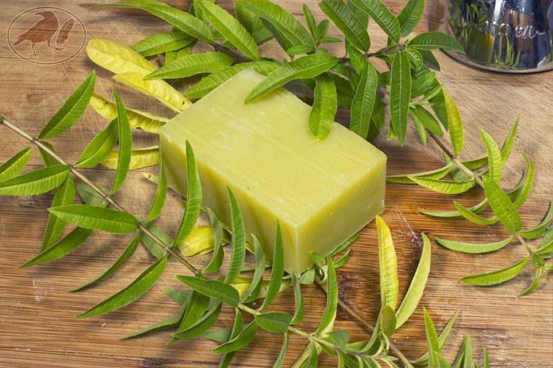 Lemon Verbena Hempseed Oil Soap